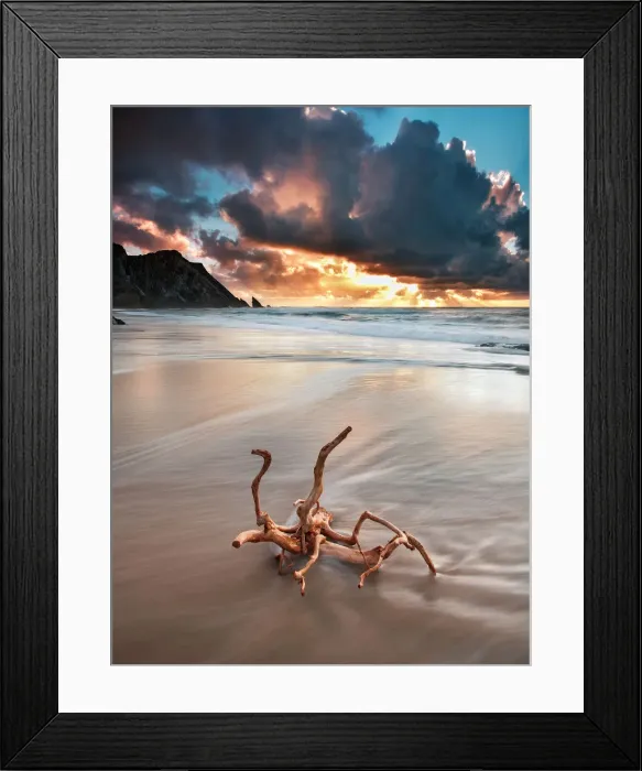Framed Print : The root. Located in the area of the Sintra-Cascais Natural Park