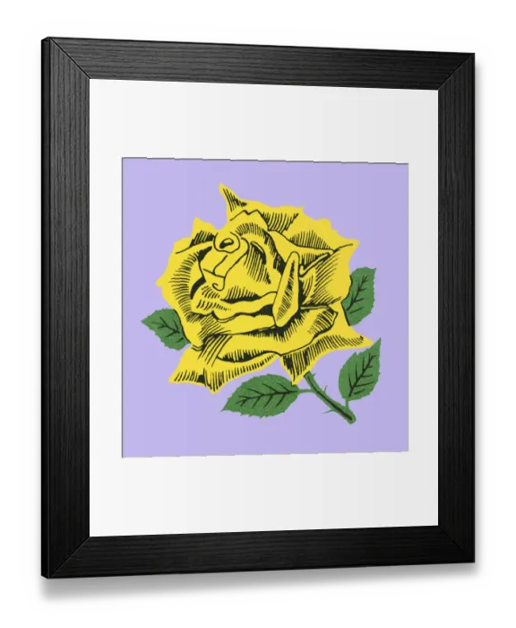 Framed Print : Rose Framed Print : Rose