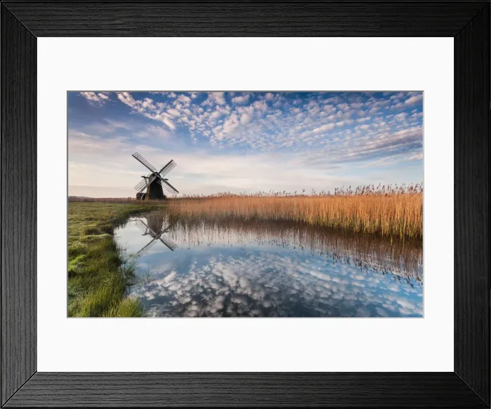 Framed Print : Herringfleet Spotty II Framed Print : Herringfleet Spotty II