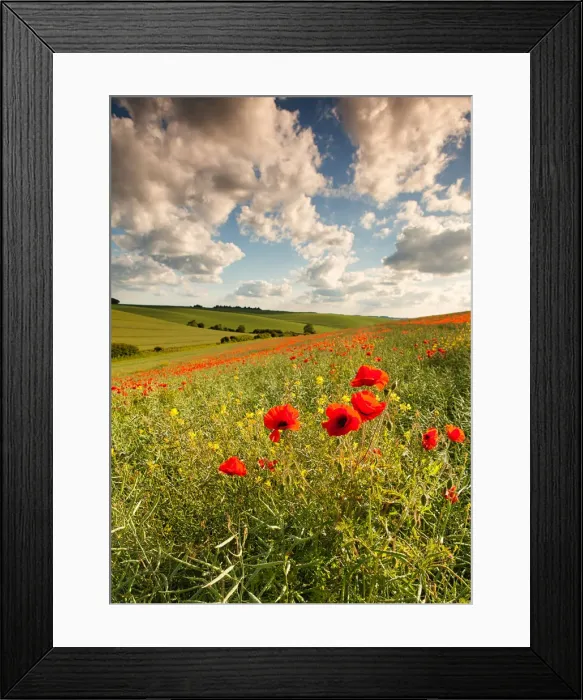 Framed Print : Contemplation II Framed Print : Contemplation II