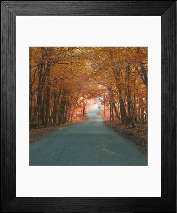 Framed Print : Amsterdam. Broxbourne, Hertfordshire, UK Framed Print : Amsterdam. Broxbourne, Hertfordshire, UK
