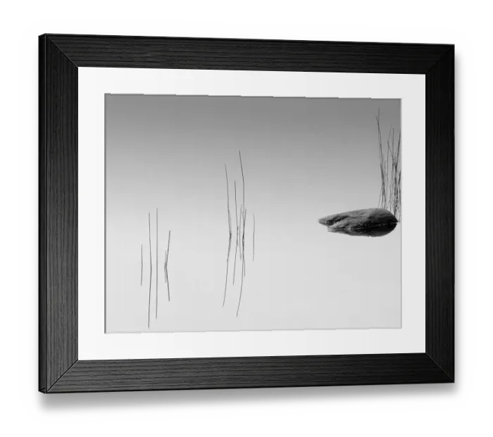 Framed Print : Reflection Framed Print : Reflection
