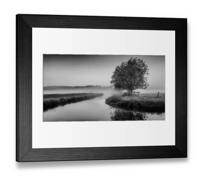 Framed Print : Augur. Hertford, Hertfordshire, UK. June 06, 2014 Framed Print : Augur. Hertford, Hertfordshire, UK. June 06, 2014