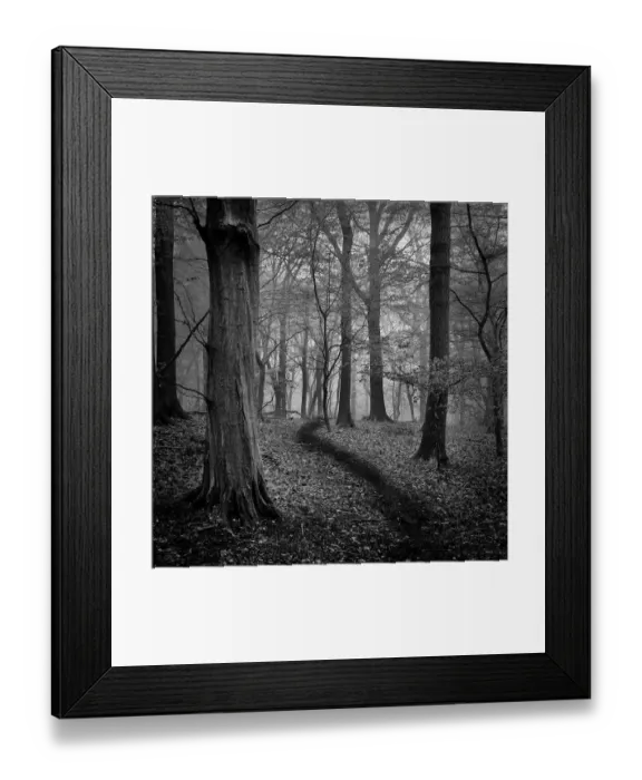 Framed Print : Woods. Broxbourne Woods, Hertfordshire, UK Framed Print : Woods. Broxbourne Woods, Hertfordshire, UK