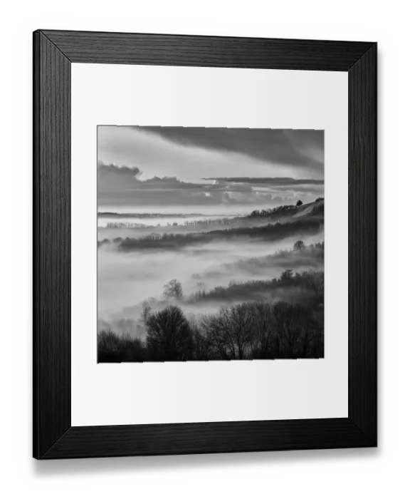 Framed Print : Topiary. South Downs, West Sussex, UK. March 18, 2012 Framed Print : Topiary. South Downs, West Sussex, UK. March 18, 2012