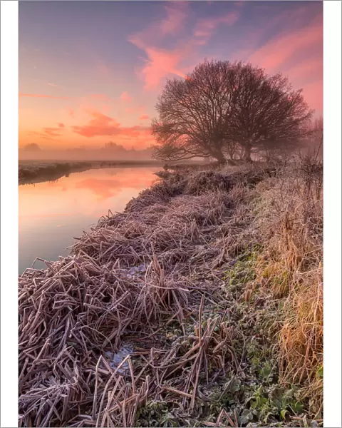 River Stour at Dawn Dedham, Suffolk, UK