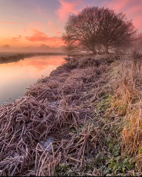 River Stour at Dawn Dedham, Suffolk, UK