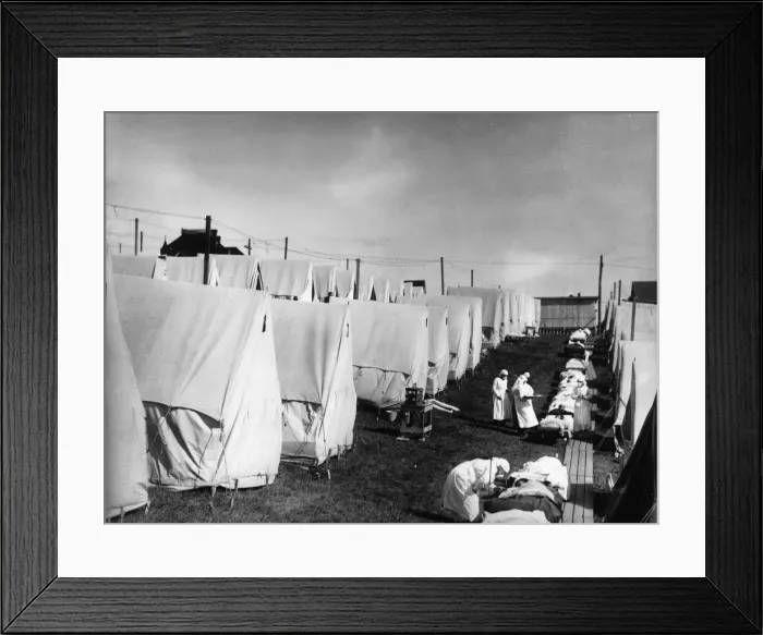 Framed Print : Spanish Flu Framed Print : Spanish Flu