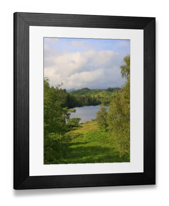 Framed Print : Tarn Hows Sheer Beauty