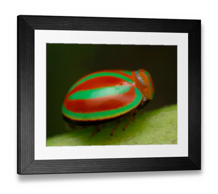 Framed Print : Planthopper Framed Print : Planthopper