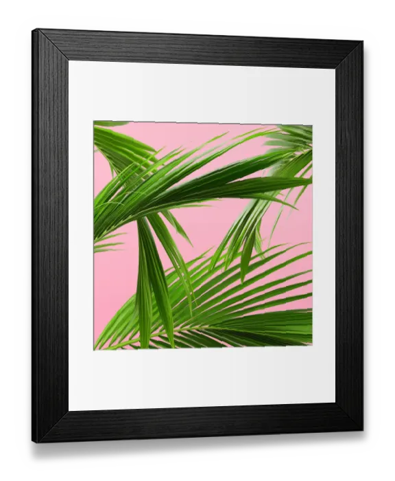 Framed Print : Palm leaf pattern Framed Print : Palm leaf pattern
