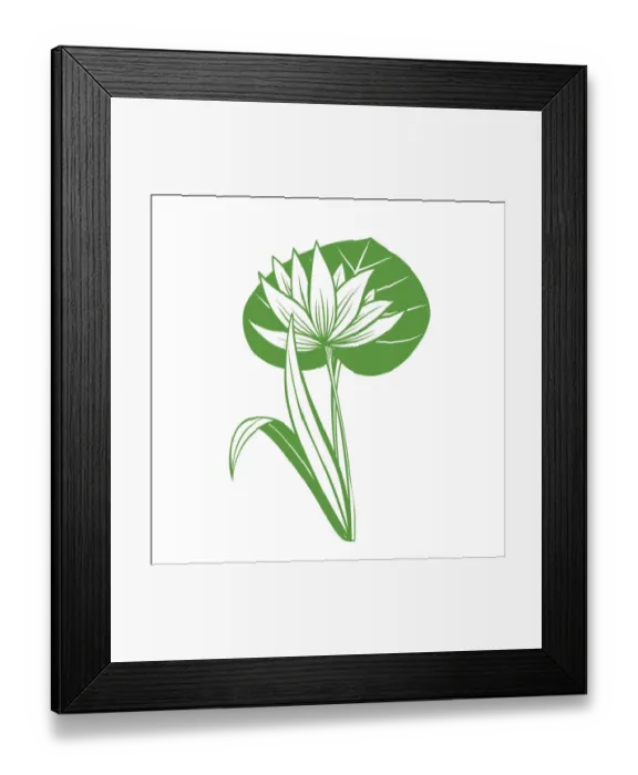 Framed Print : Lotus-flower-4 Framed Print : Lotus-flower-4