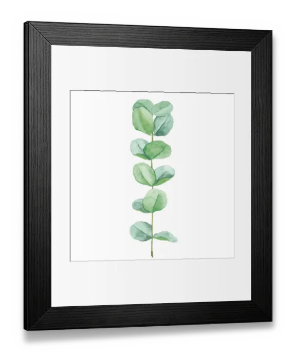 Framed Print : Eucalyptus Watercolour Framed Print : Eucalyptus Watercolour