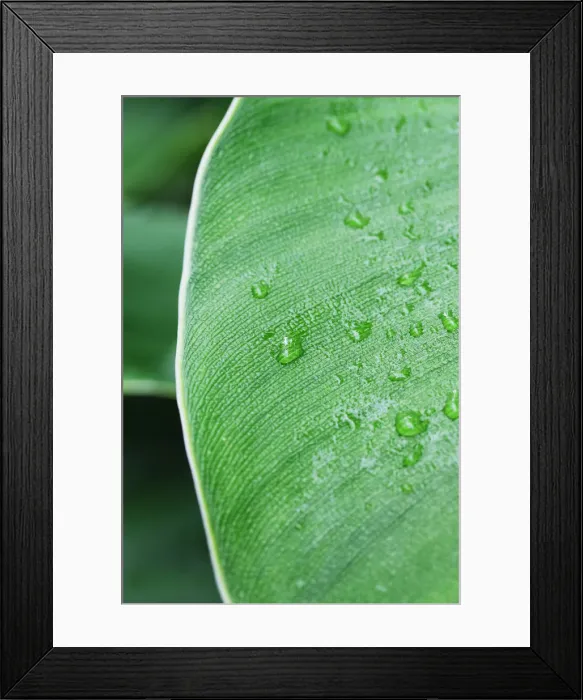Framed Print : Divine Nature Framed Print : Divine Nature