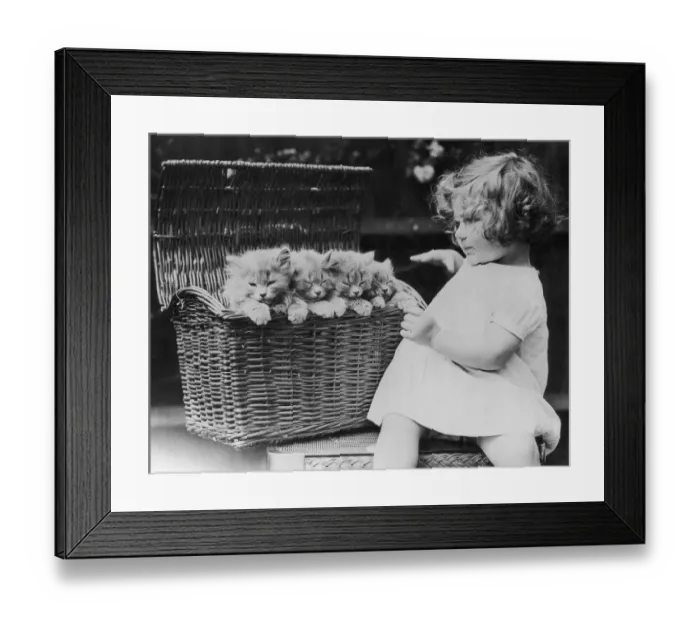 Framed Print : Kitten Basket Framed Print : Kitten Basket