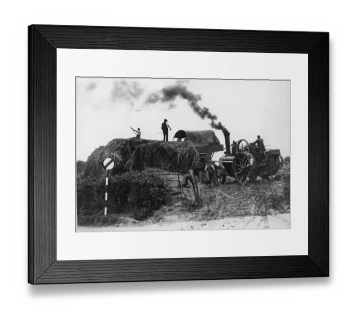 Framed Print : Making Hay