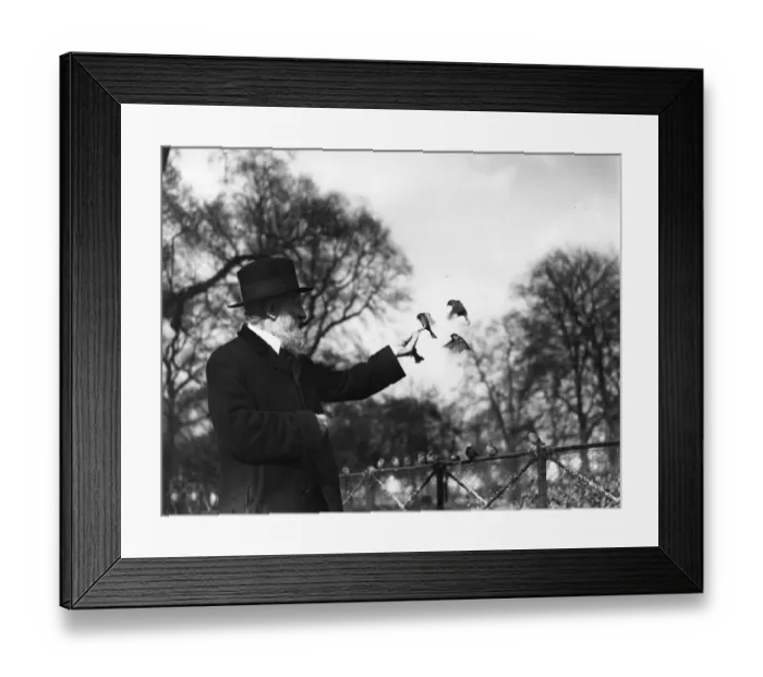 Framed Print : Bird Man With Birds