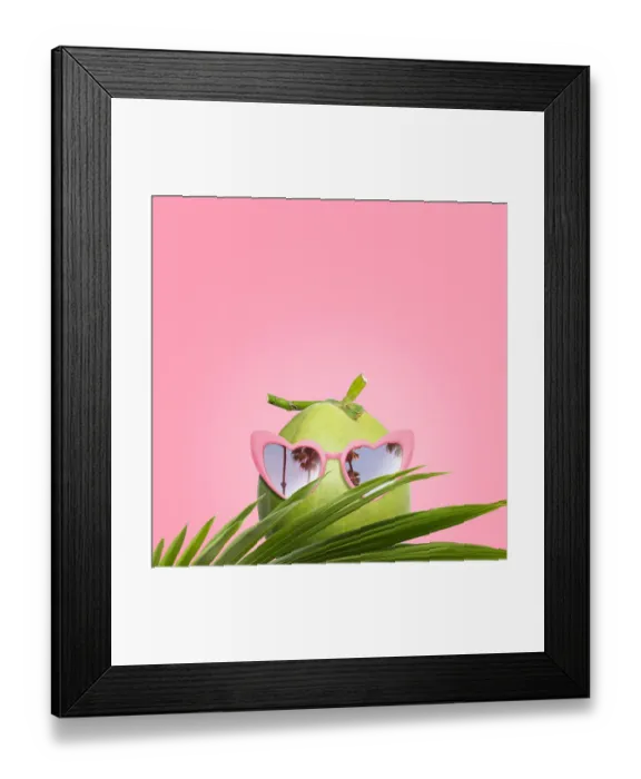 Framed Print : Coconut wearing sunglasses Framed Print : Coconut wearing sunglasses
