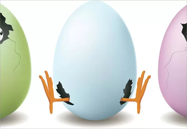 Funny Egg Illustration