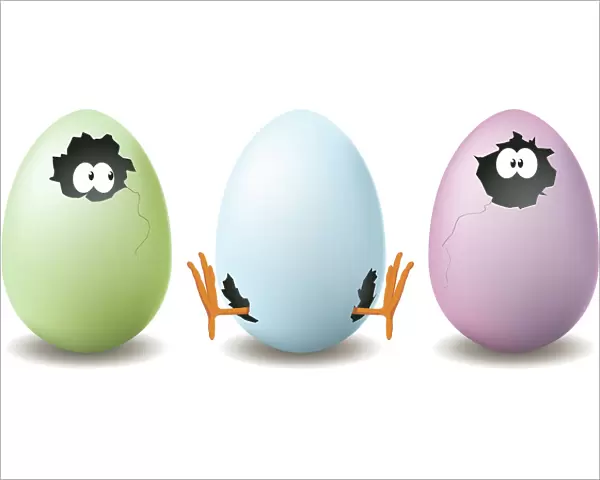Funny Egg Illustration