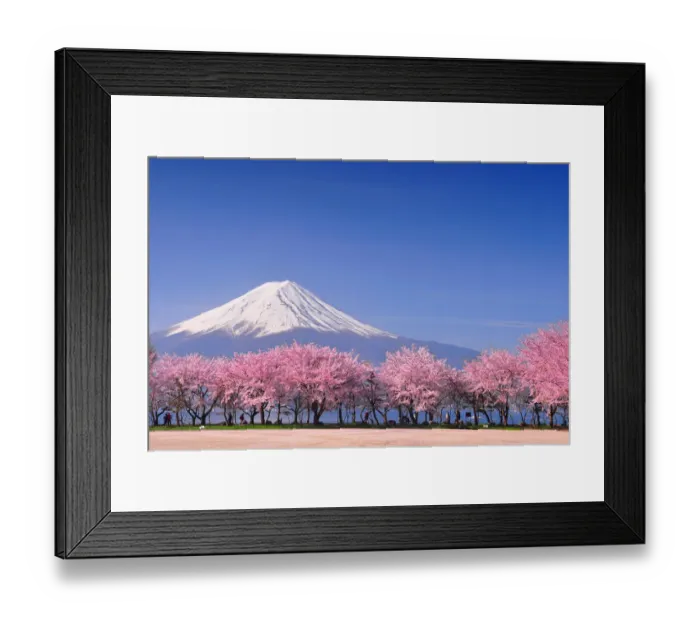 Framed Print : Fuji and Sakura Framed Print : Fuji and Sakura