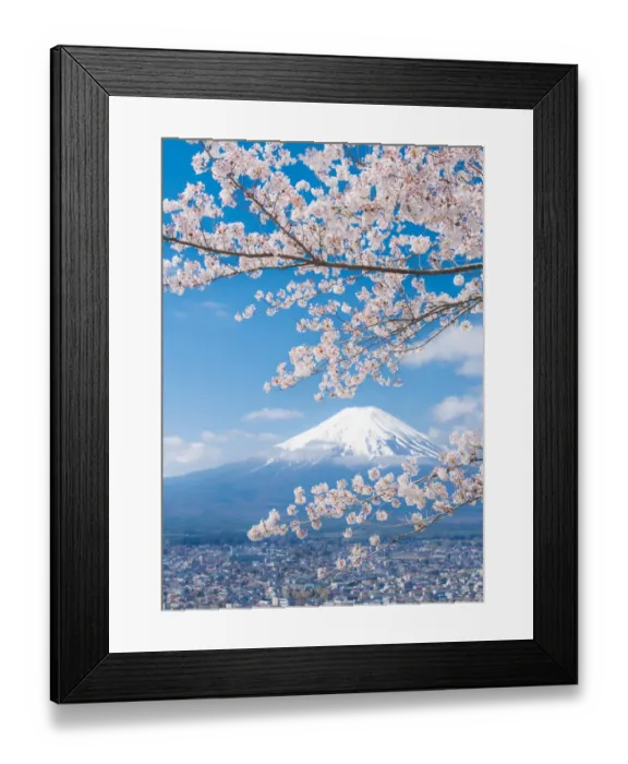 Framed Print : View of Mount Fuji with Cherry Blossom, Japan Framed Print : View of Mount Fuji with Cherry Blossom, Japan