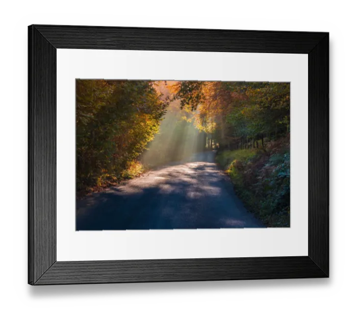 Framed Print : Burrator beams Framed Print : Burrator beams