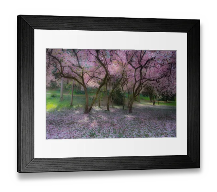 Framed Print : Croatian spring Framed Print : Croatian spring