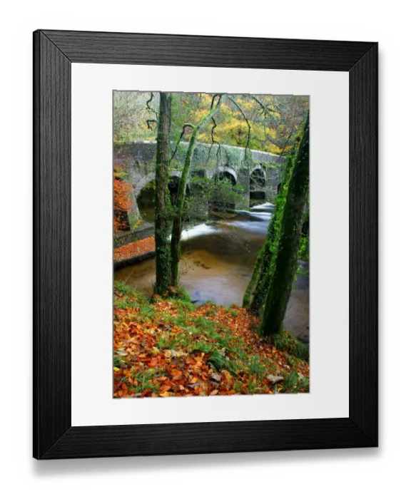 Framed Print : Plymbridge Framed Print : Plymbridge