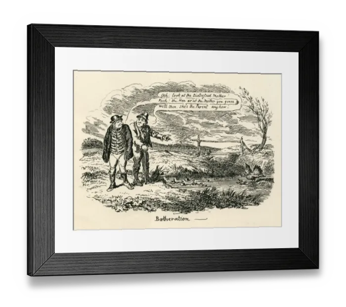 Framed Print : Humour among birds Botheration Cruikshank 19th century cartoon Framed Print : Humour among birds Botheration Cruikshank 19th century cartoon