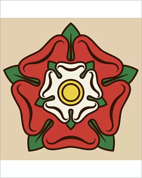 Tudor Rose Illustration