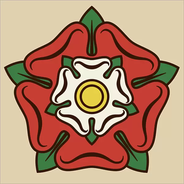 Tudor Rose Illustration