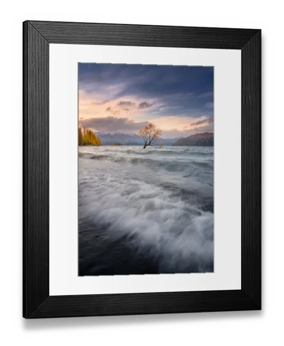 Framed Print : That Wanaka Tree at sunset Wanaka, New Zealand Framed Print : That Wanaka Tree at sunset Wanaka, New Zealand