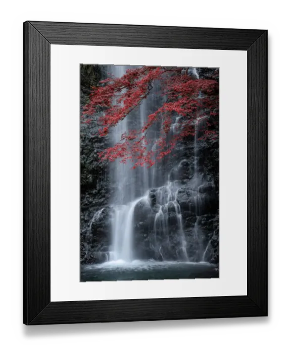 Framed Print : Minoo waterfall in colorful autumn season with red maple leaf, Minoo park, Osaka, Japan
