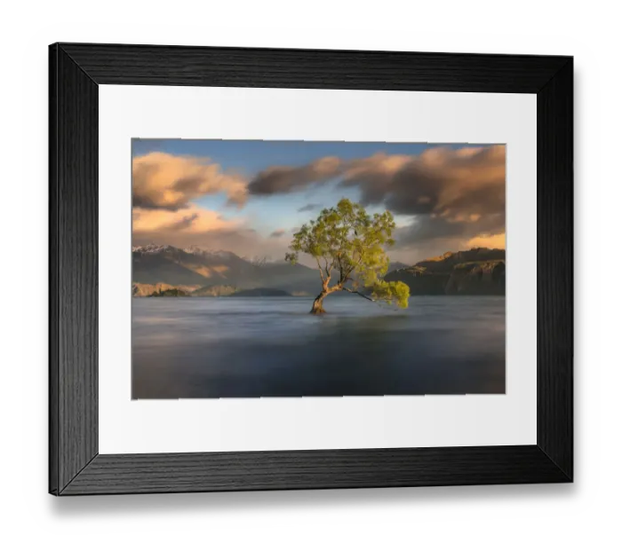 Framed Print : Lone tree is in Lake Wanaka at sunrise, New zealand Framed Print : Lone tree is in Lake Wanaka at sunrise, New zealand
