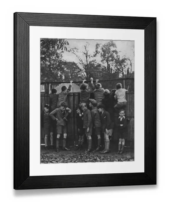 Framed Print : Better View Framed Print : Better View