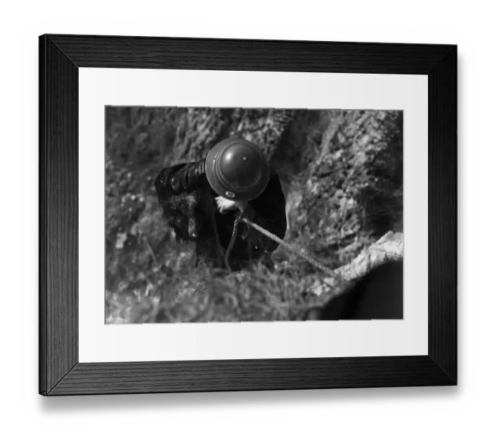 Framed Print : Saving A Dog Framed Print : Saving A Dog