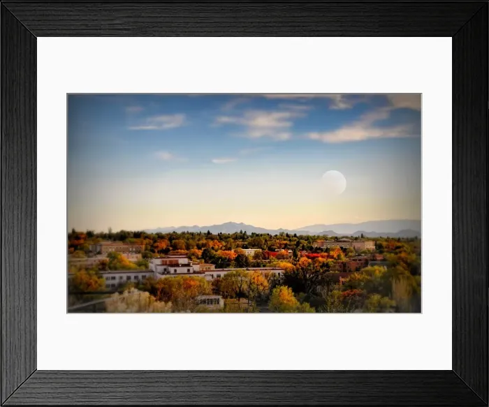 Framed Print : Sweet Dreams Framed Print : Sweet Dreams