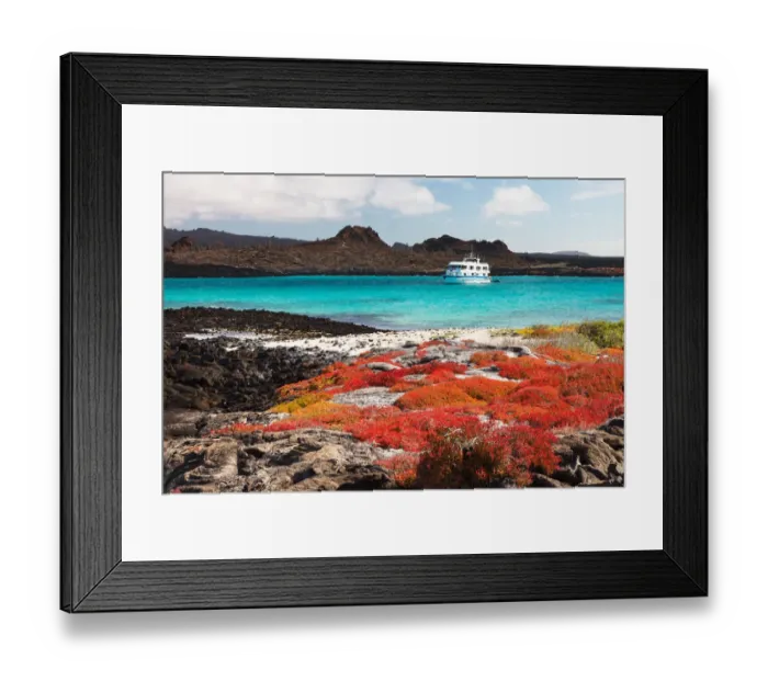 Framed Print : Landscape of Isla Santa Fe with red vegetation, turquoise ocean Framed Print : Landscape of Isla Santa Fe with red vegetation, turquoise ocean