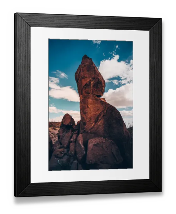Framed Print : Santa Fe National Forest32 Framed Print : Santa Fe National Forest32