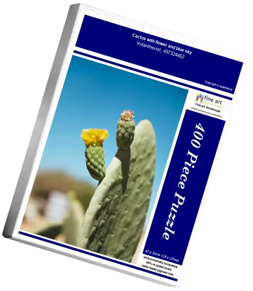 Cactus with flower and blue sky