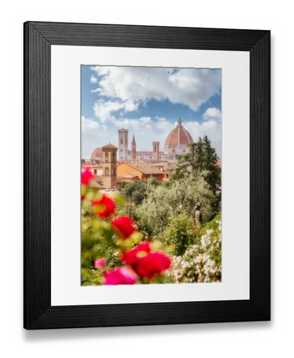 Framed Print : Florence, Tuscany, Italy. Flowers in foreground in springtime Framed Print : Florence, Tuscany, Italy. Flowers in foreground in springtime