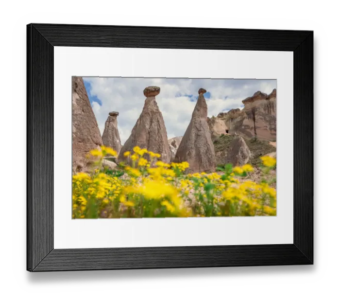 Framed Print : Springtime in Cappadocia, Turkey. Wild flowers and fairy chimneys Framed Print : Springtime in Cappadocia, Turkey. Wild flowers and fairy chimneys
