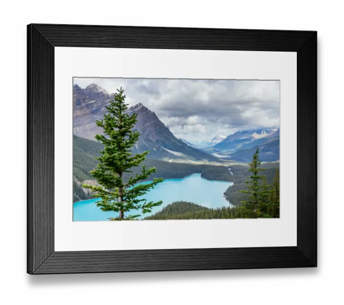 Framed Print : Peyto Lake, Icefields Parkway, Banff, Alberta, Canada. blue glacial lake in the Canadian Framed Print : Peyto Lake, Icefields Parkway, Banff, Alberta, Canada. blue glacial lake in the Canadian