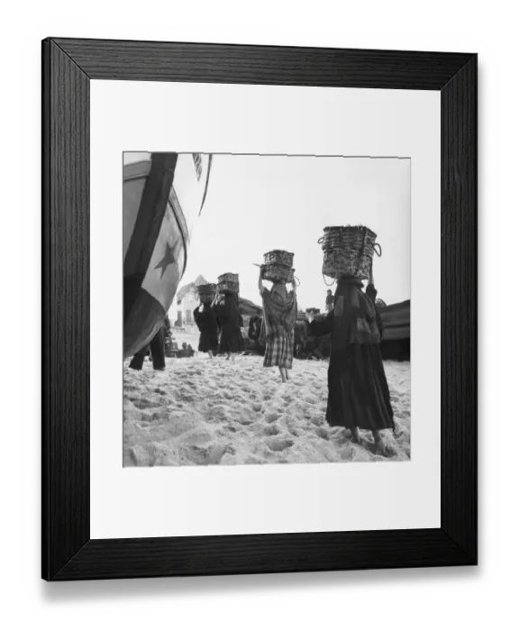 Framed Print : Fish Heads Framed Print : Fish Heads