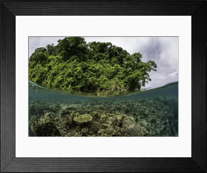 Framed Print : Split shot of coral reef and mangrove forest, Kimbe Bay, Papua New Guinea Framed Print : Split shot of coral reef and mangrove forest, Kimbe Bay, Papua New Guinea
