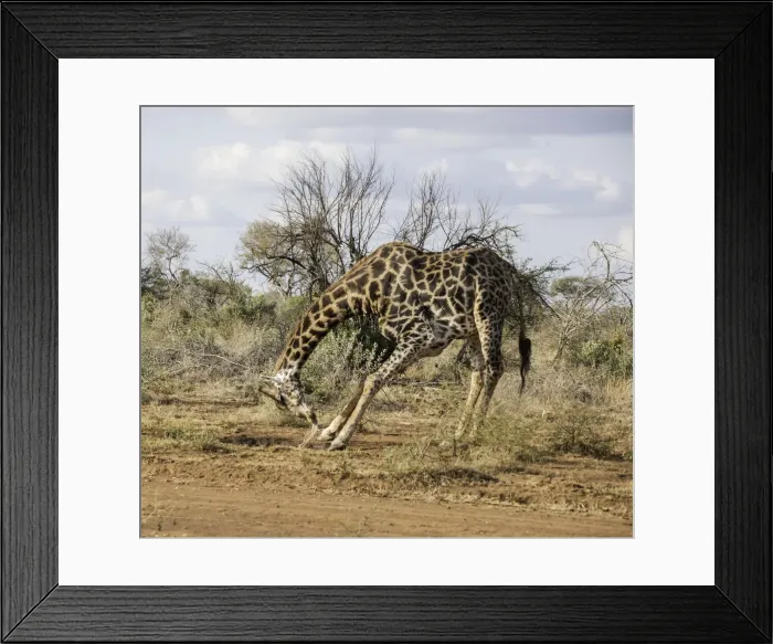 Framed Print : On The Way Up Framed Print : On The Way Up