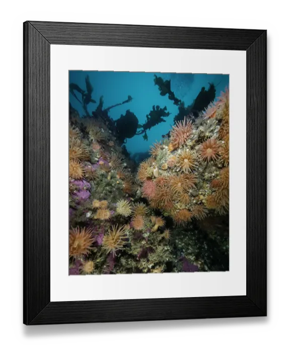 Framed Print : Coloured Rocks Framed Print : Coloured Rocks