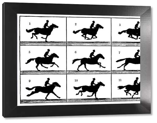 Antique illustration of horse in motion