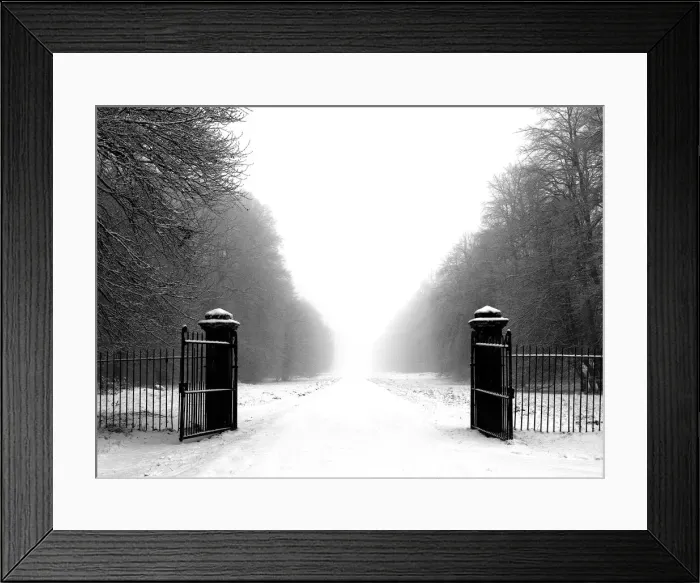 Framed Print : Old wrought iron gates Framed Print : Old wrought iron gates